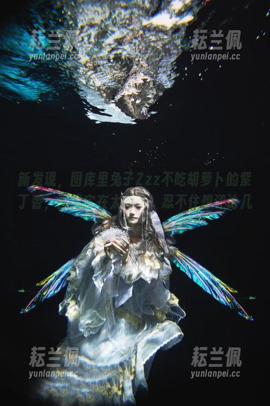兔子Zzz不吃胡萝卜 新发现,图库里兔子Zzz不吃胡萝卜的紫丁香,画风实在太美了,忍不住想评论几句。