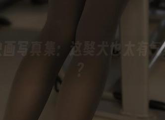 兔玩映画写真集：这獒犬也太有气势了吧？