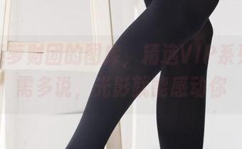 喜欢森萝财团的图库，精选VIP系列，无需多说，光影就能感动你